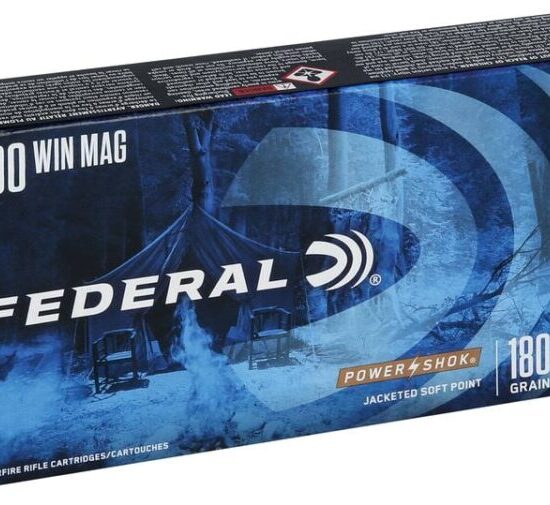 Federal - 300 Win Mag - PowerShok - 180gr